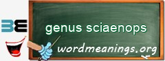 WordMeaning blackboard for genus sciaenops